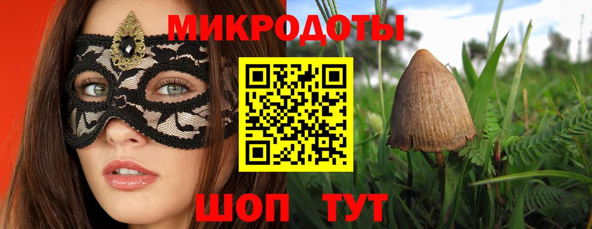 Галлюциногенные грибы Psilocybine cubensis Курган